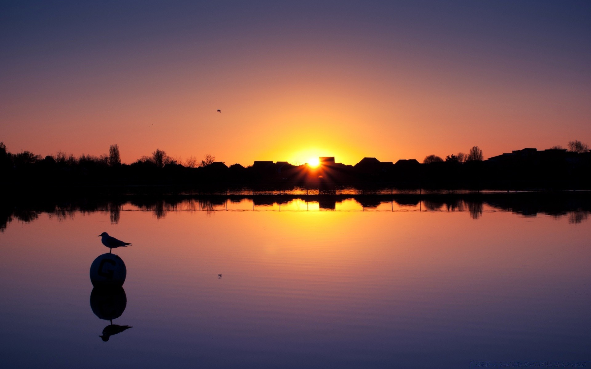 oiseaux coucher de soleil aube réflexion lac soir eau crépuscule soleil silhouette ciel rivière nature paysage