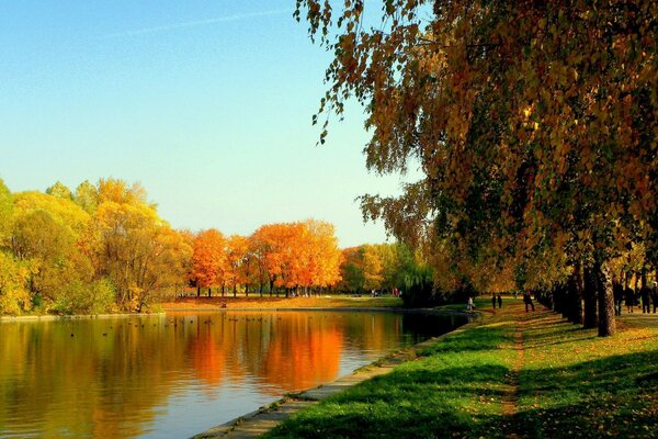 Estanque en el colorido parque de otoño