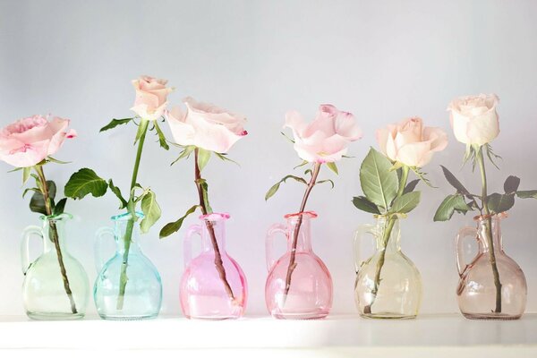 Rosas bonitas em vasos não comuns