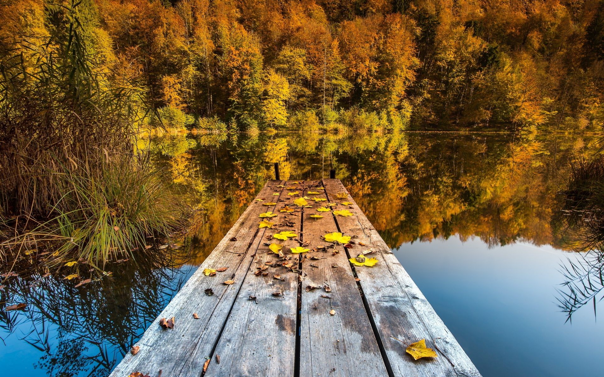 see holz herbst holz landschaft natur wasser landschaftlich fluss im freien blatt tageslicht jahreszeit reflexion reisen park umwelt landschaft gutes wetter