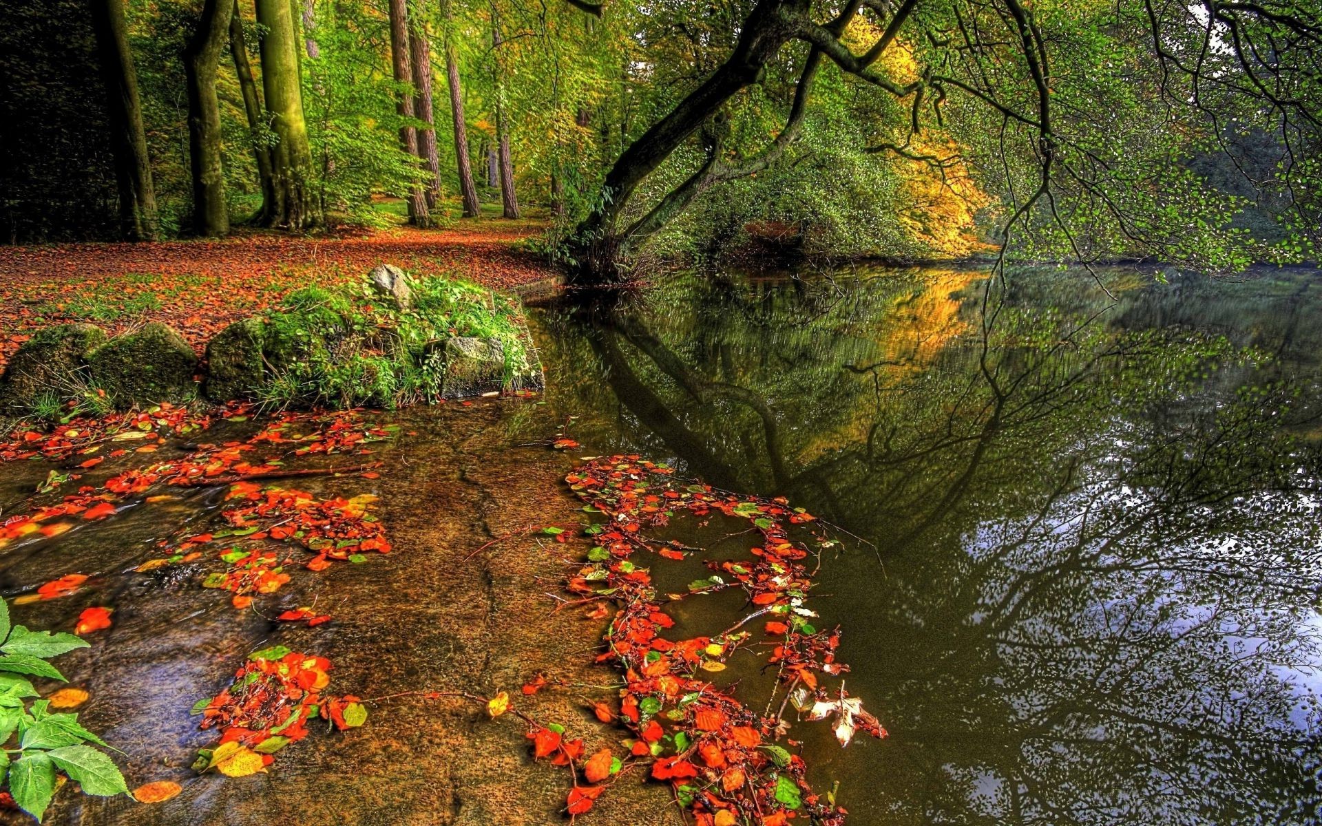 Осенняя природа без смс