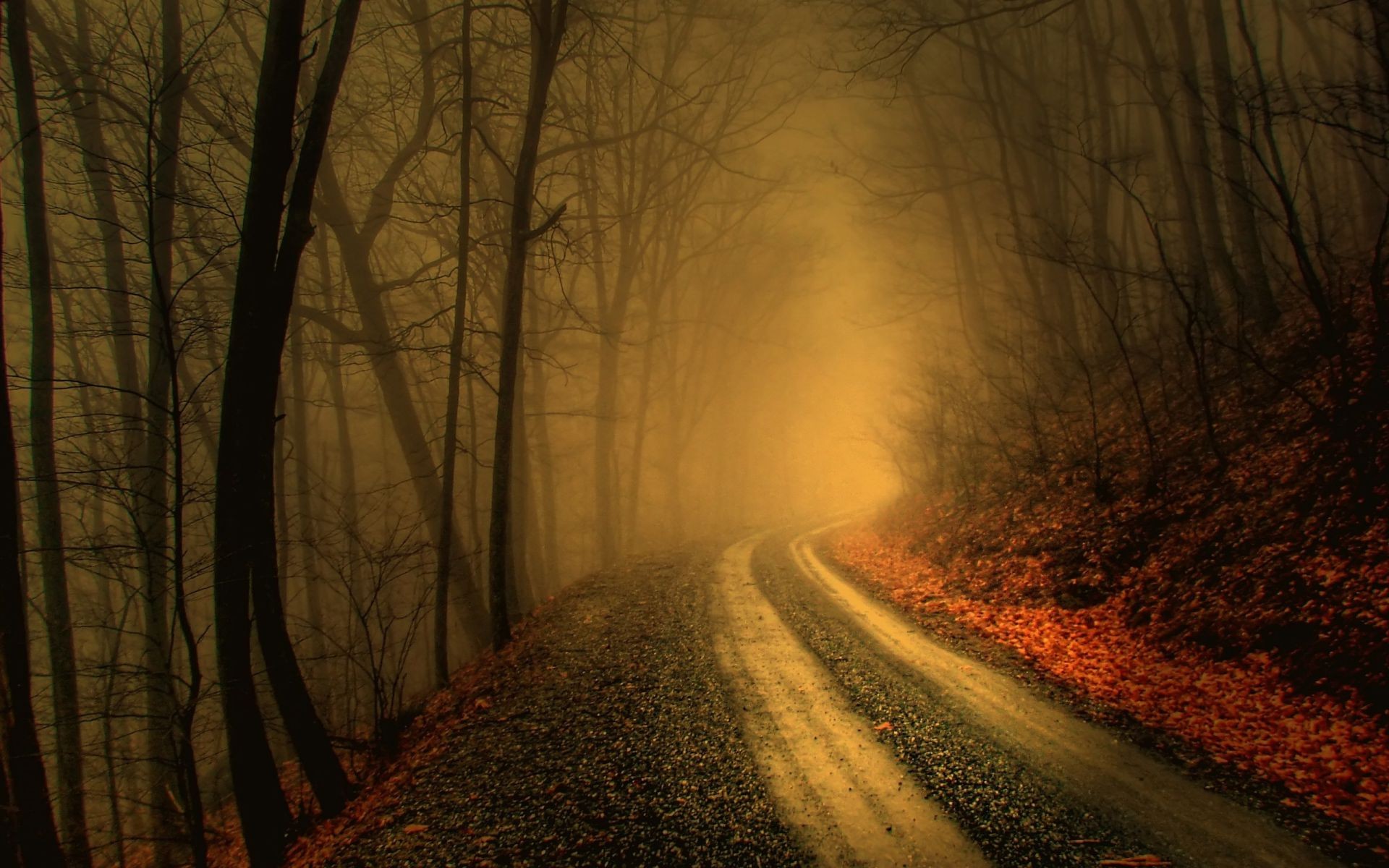 carretera niebla niebla paisaje madera amanecer árbol otoño oscuro invierno