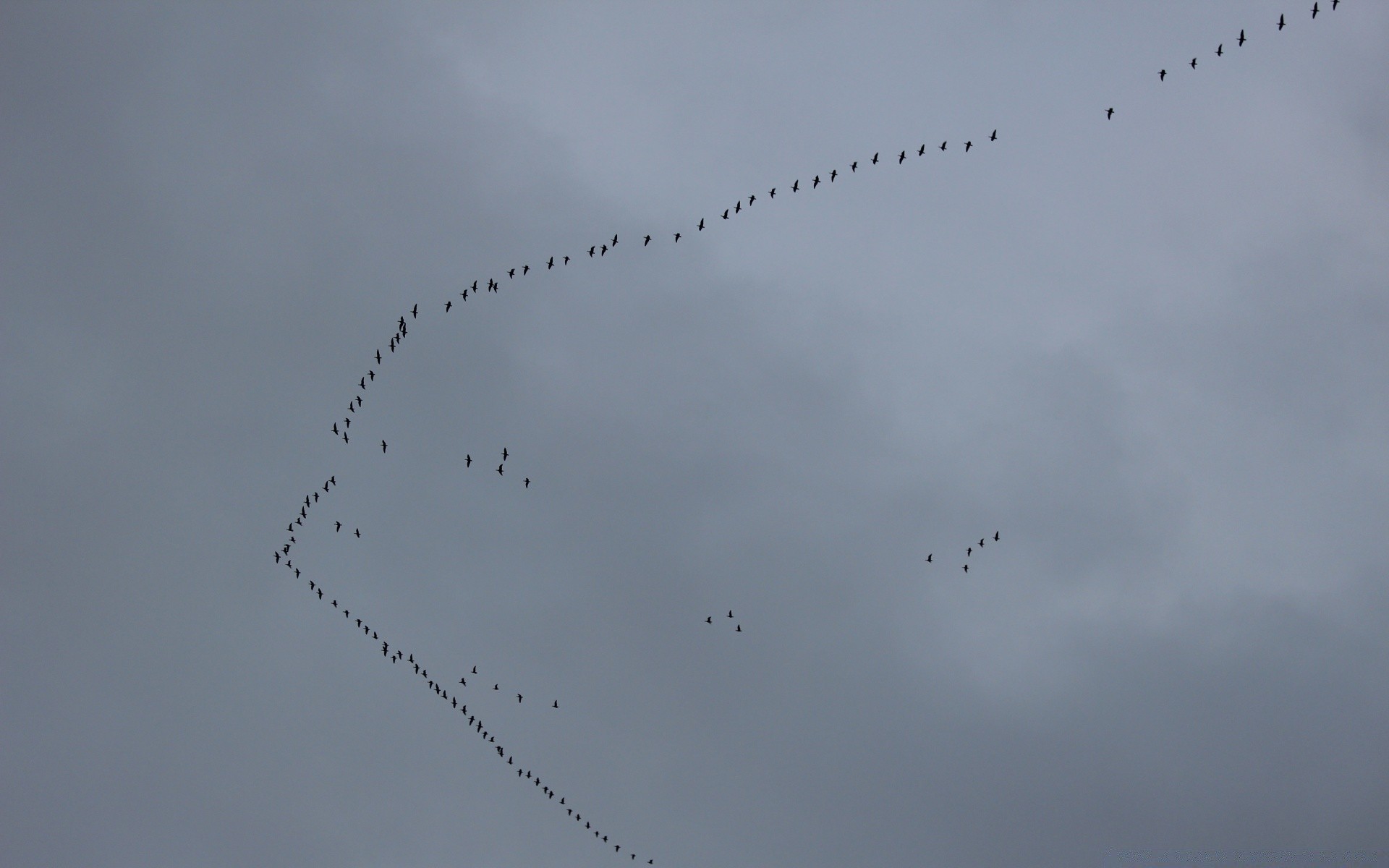 aves cielo avión avión avión vuelo formación geológica volar militar precisión humo aire nube luchador velocidad resumen guerra tecnología al aire libre