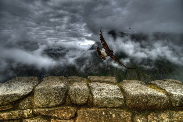 Der Vogel fliegt zum Berg