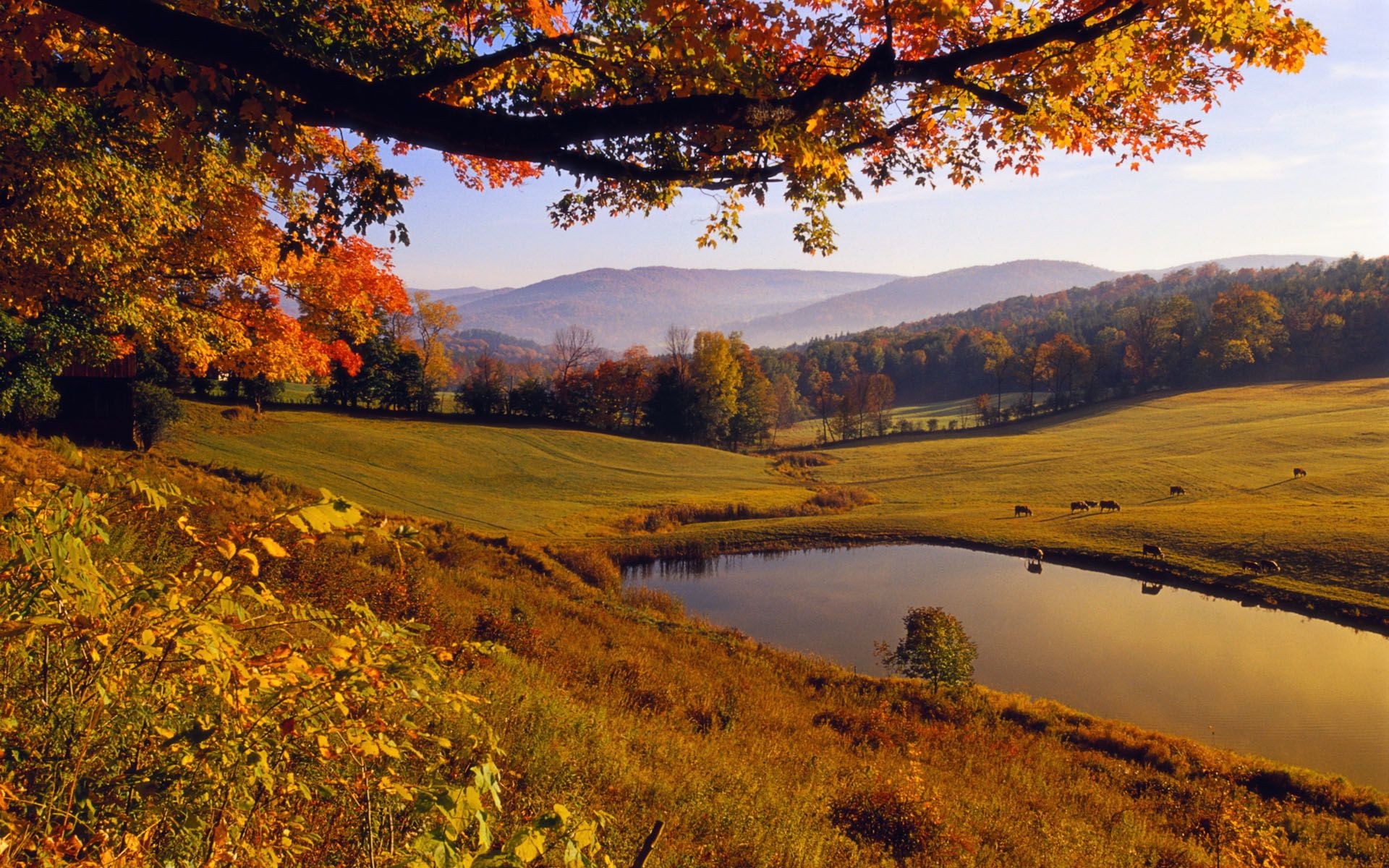 rivers ponds and streams fall landscape tree nature leaf outdoors water wood lake scenic river