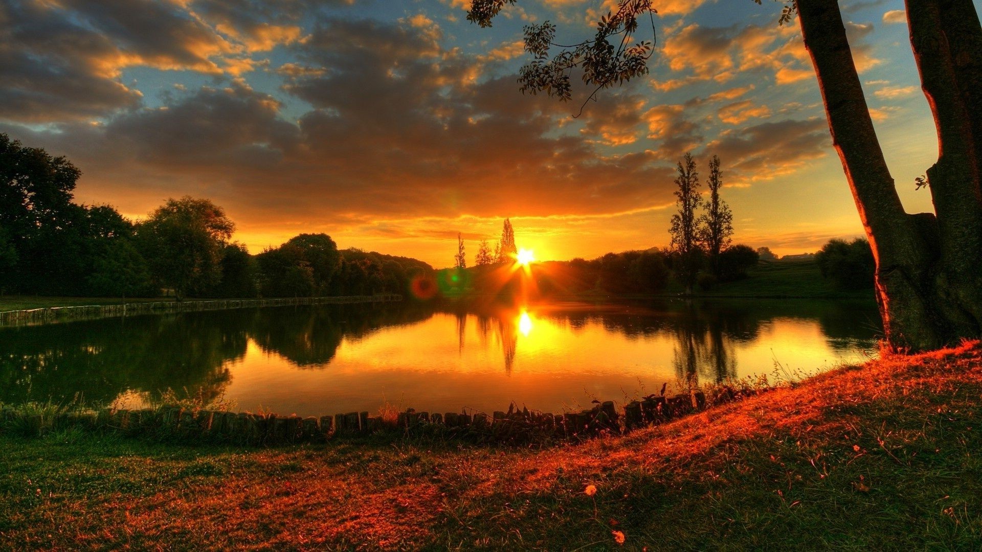 the sunset and sunrise sunset dawn landscape tree water nature sun evening lake sky reflection river light