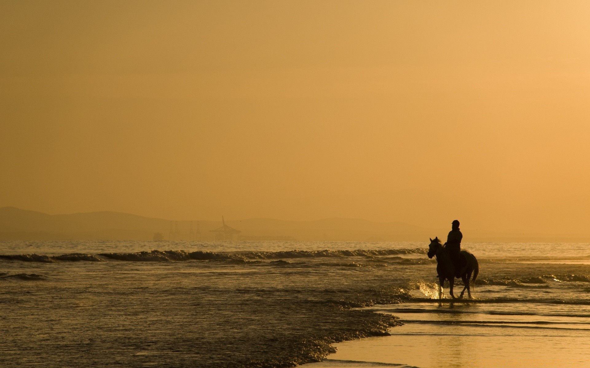 cavallo tramonto acqua alba spiaggia mare illuminato nebbia sera oceano paesaggio silhouette crepuscolo sole pescatore nebbia mare lago paesaggio cielo