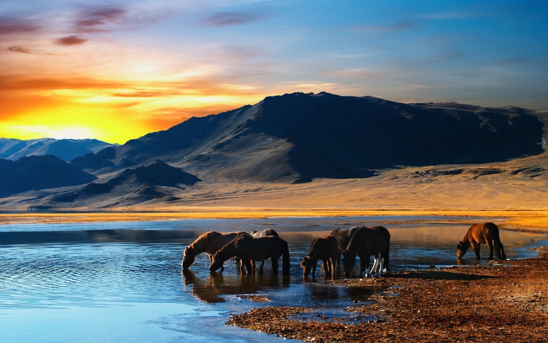 chevaux eau coucher de soleil voyage aube à l extérieur ciel soir montagnes nature paysage réflexion lac neige crépuscule