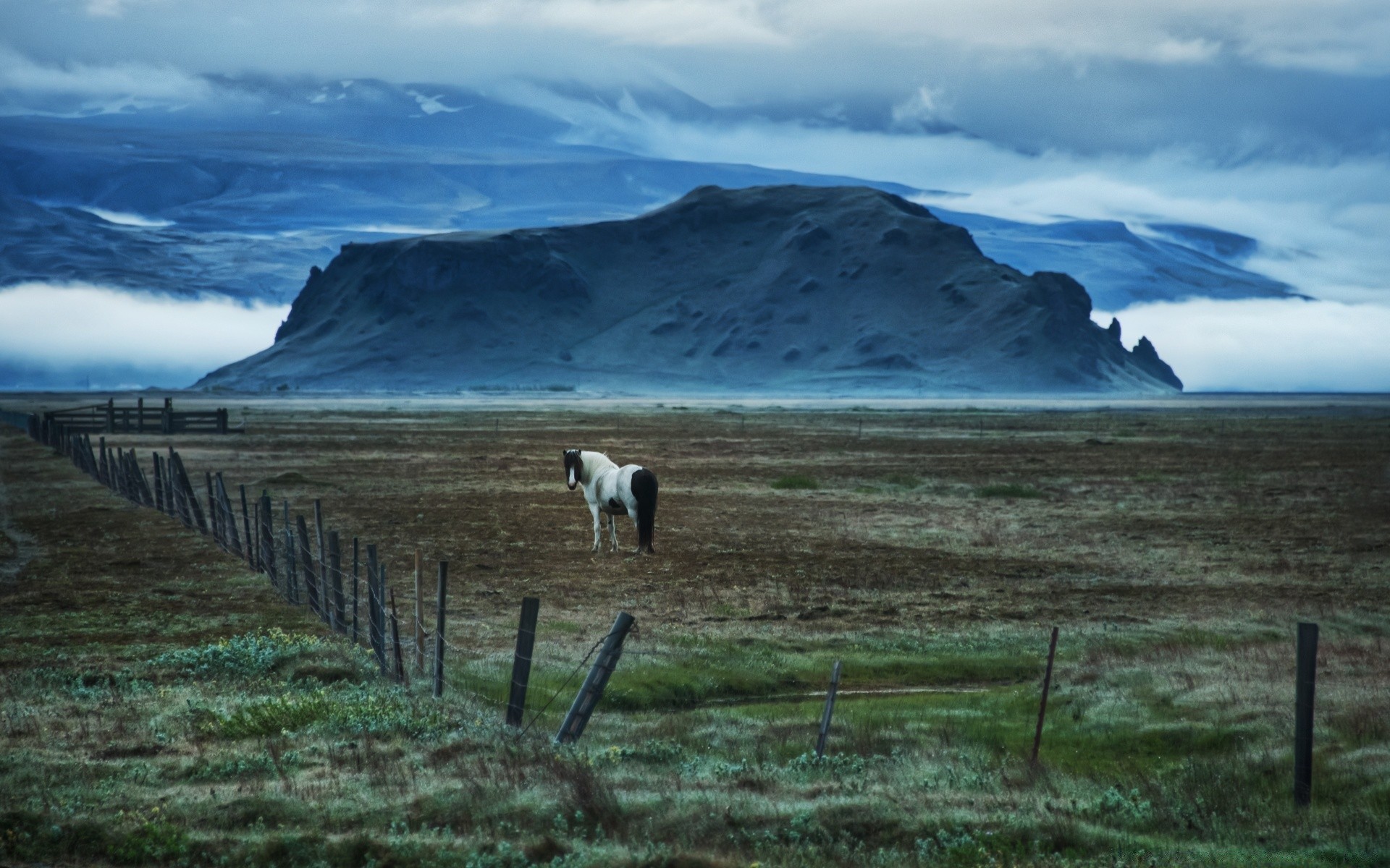 caballos agua paisaje cielo al aire libre viajes mar mar naturaleza escénico océano montaña luz del día