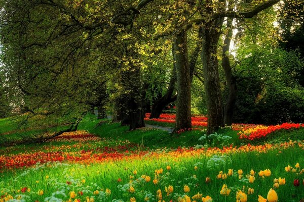 Parc avec une allée de fleurs