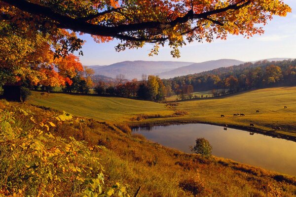 Golden autumn kissed nature