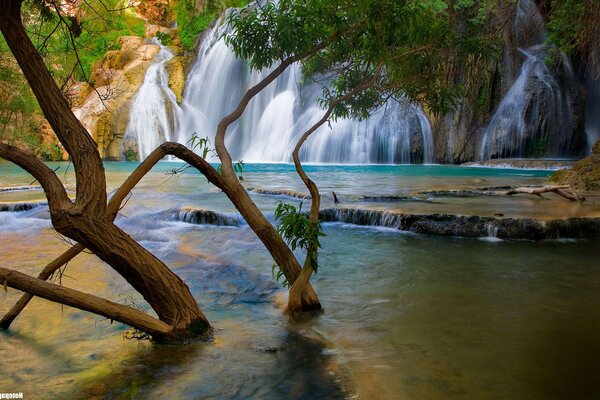 Die Schönheit von Wasserfällen und Wildtieren