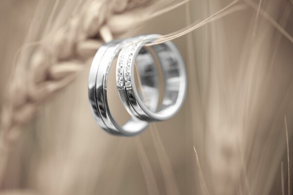 Silver Wedding rings close-up