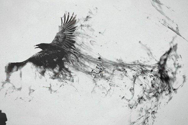 Black and white graphics of a bird in flight