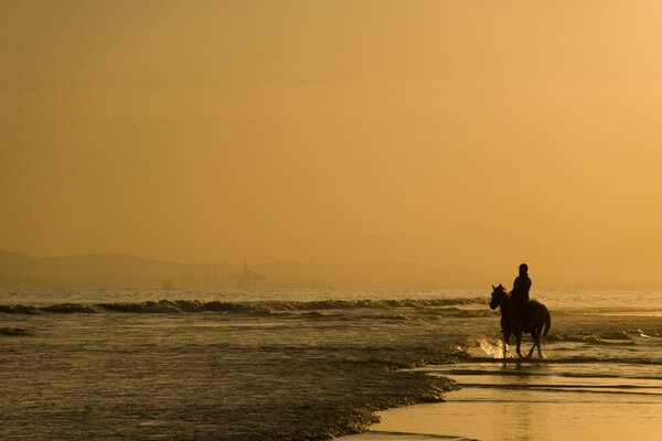 Silhueta de um cavaleiro na praia ao amanhecer