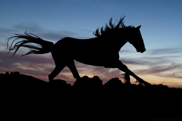 Silueta de caballo oscuro corriendo contra el cielo