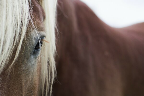 How much wisdom and sadness in the eyes