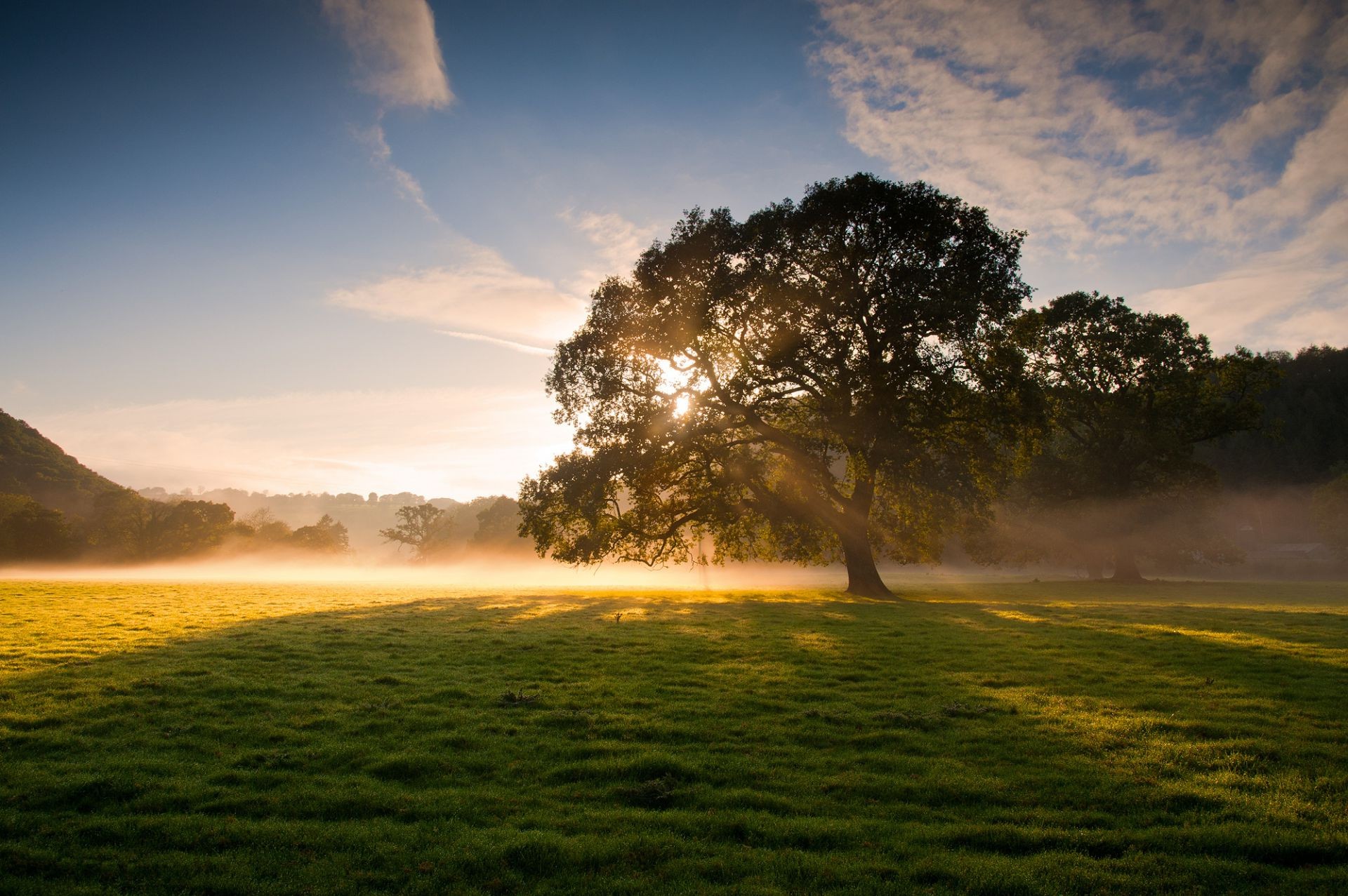 sonnenlicht und strahlen landschaft dämmerung sonnenuntergang natur baum gras sonne himmel im freien nebel licht gutes wetter regenbogen sommer abend