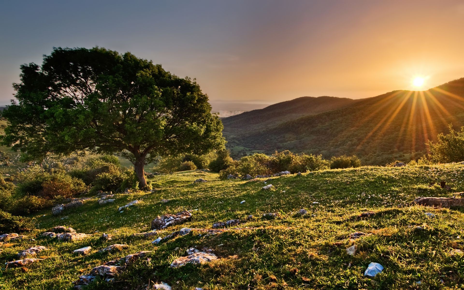 sonnenuntergang und dämmerung landschaft natur sonnenuntergang himmel reisen im freien sonne berge baum dämmerung gras abend gutes wetter sommer