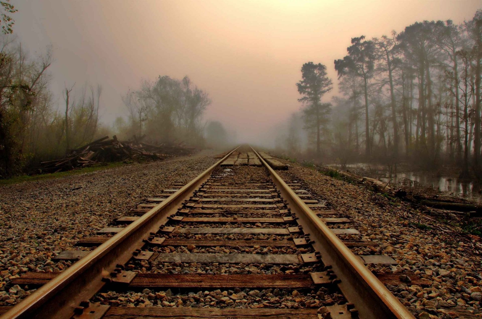 road railway train track guidance transportation system fog travel light perspective outdoors sunset landscape sky wood