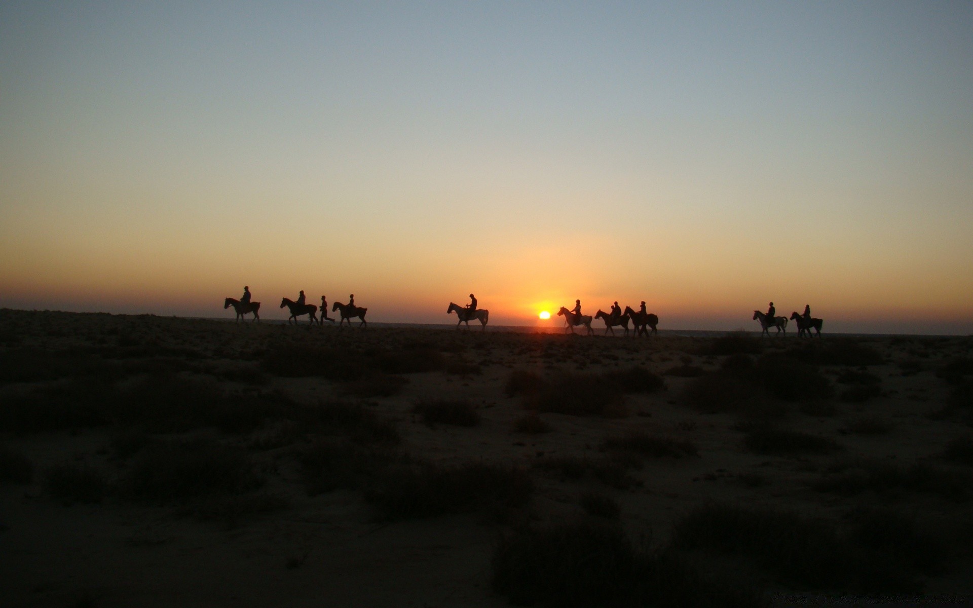 caballos puesta de sol amanecer playa mar noche paisaje sol silueta iluminado agua océano crepúsculo cielo luz mar coche viajes