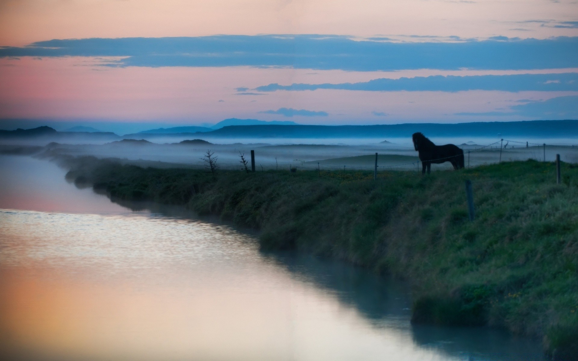 cavalos água paisagem praia mar mar lago oceano ao ar livre céu viagens luz do dia amanhecer pôr do sol reflexão noite