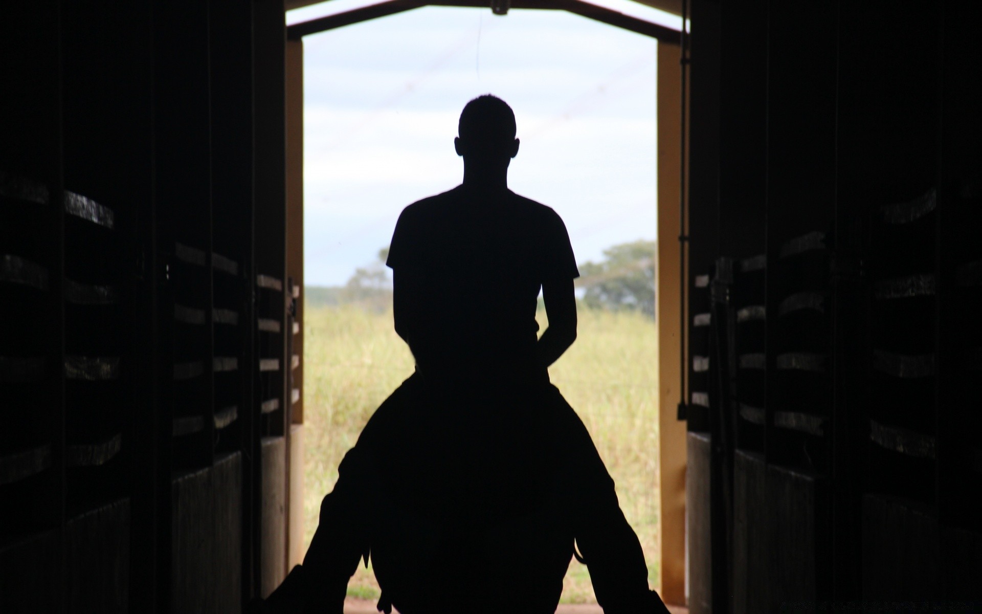 cavalos silhueta luz de fundo único sombra janelas retrato homem pôr do sol adulto luz dentro de casa mulher porta ao ar livre amanhecer viajar