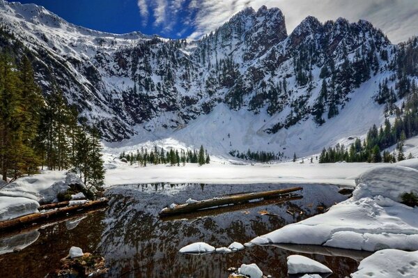 白雪皑皑的森林背景上的山河