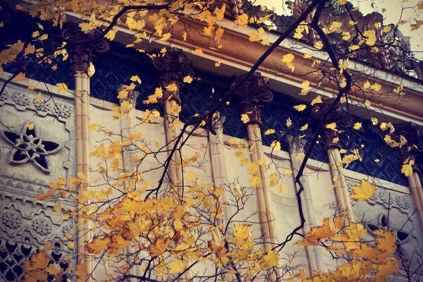 Beautiful windows of the old building, golden autumn foliage