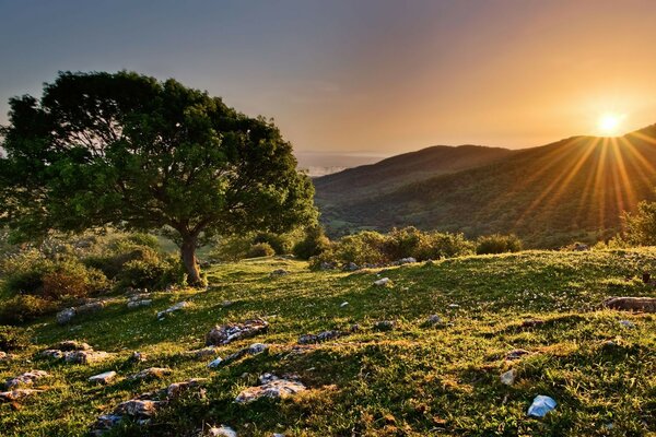 Dağların üzerinde gün batımı, kudretli ağaçlar, sulu çayırlar