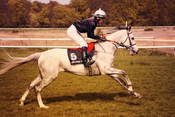 Courses de chevaux professionnelles