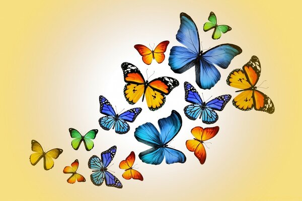 Colorful butterflies on a yellow background