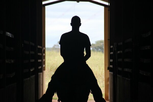 Un homme à cheval sur son étalon