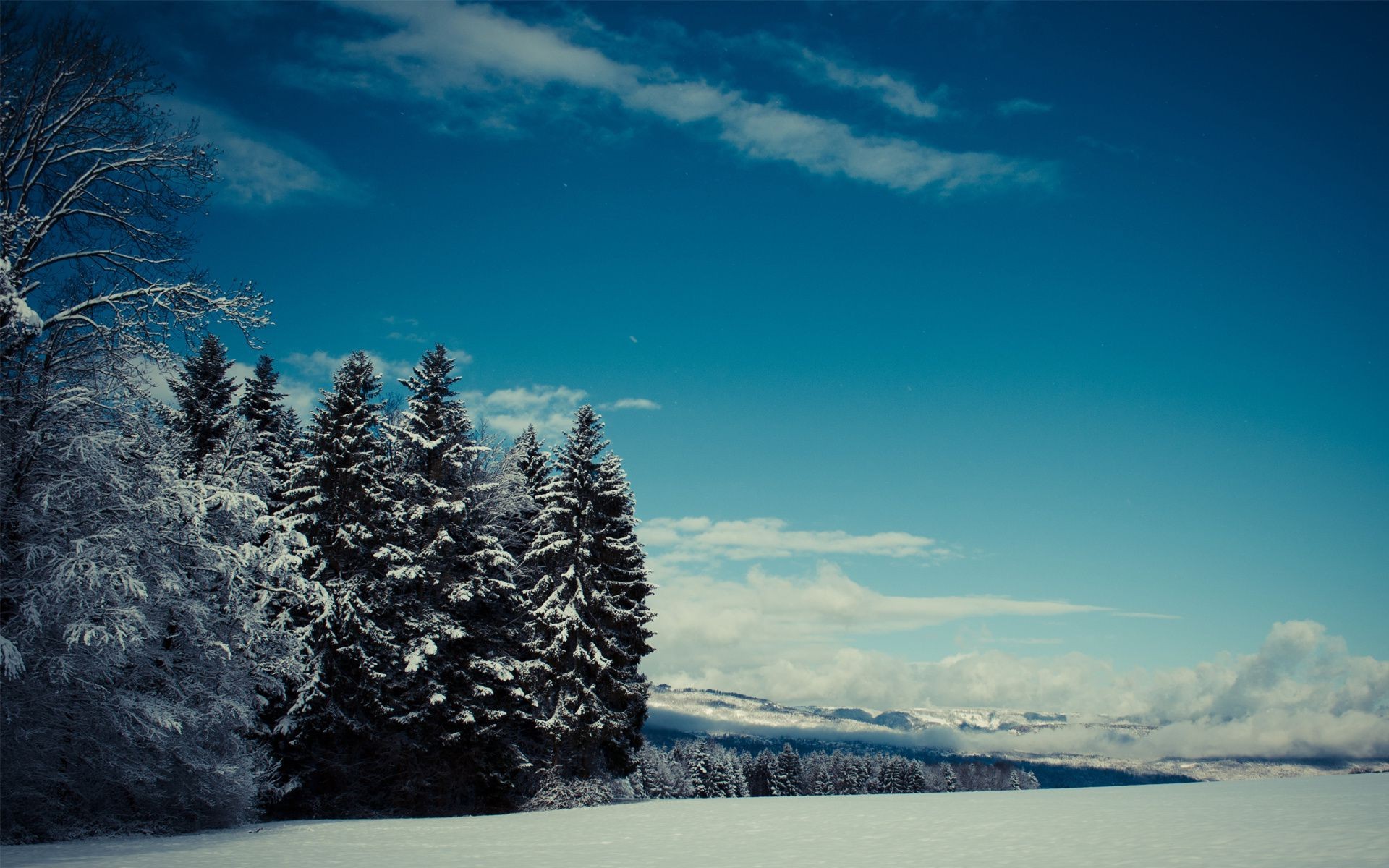 hiver neige paysage froid bois gel glace ciel nature montagnes météo scénique à l extérieur congelés bois eau givré brouillard voyage