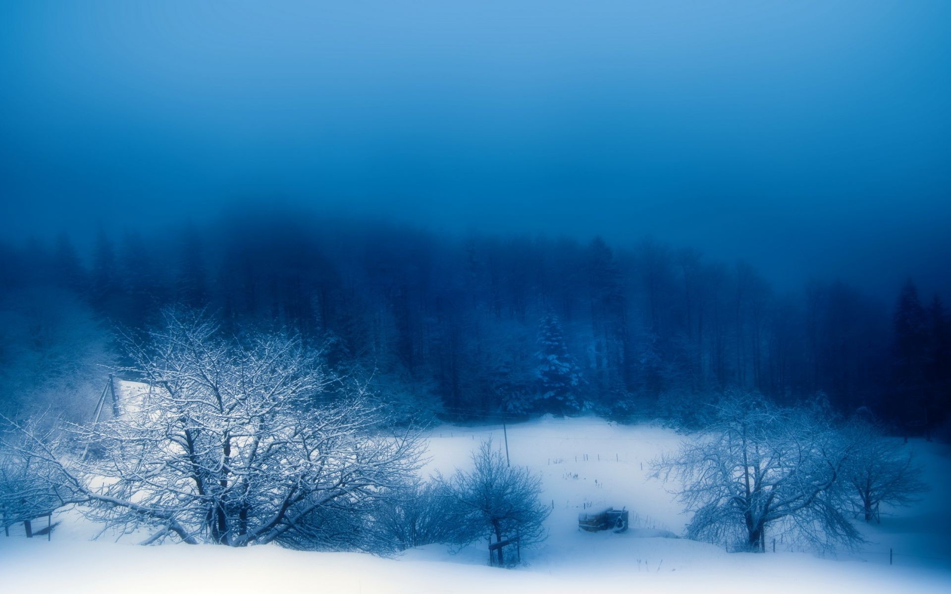 Fog snow night nature Winter - Phone wallpapers