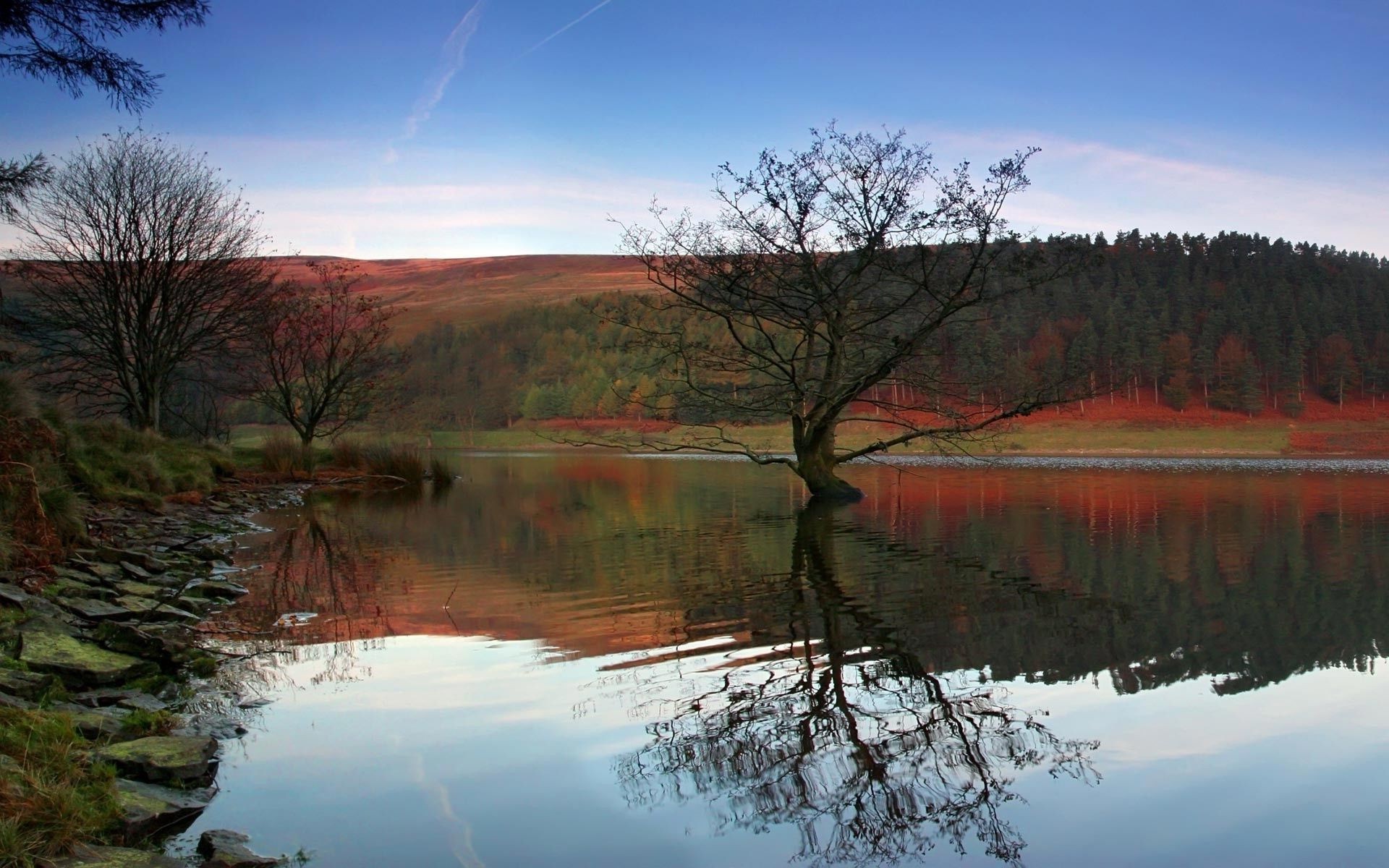 lake water reflection landscape tree river outdoors nature dawn fall wood pool scenic sky evening