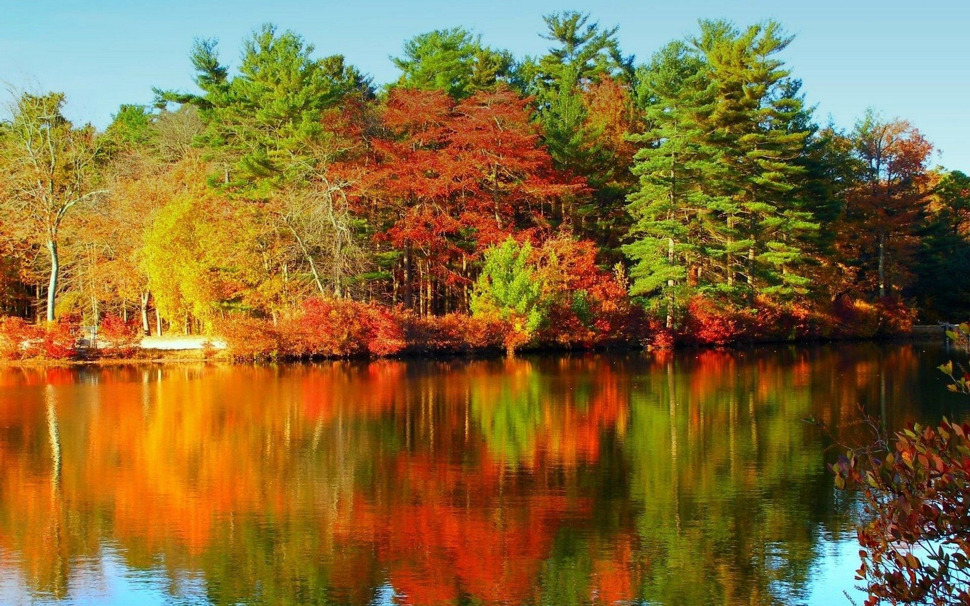 lake fall nature water landscape reflection leaf tree wood season park river pool outdoors scenic scenery composure