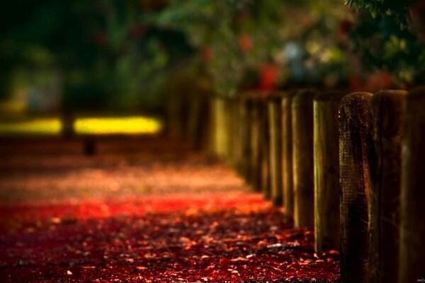 Paesaggio autunnale dai colori caldi