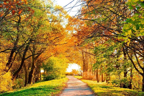 Colori vivaci di autunno caldo