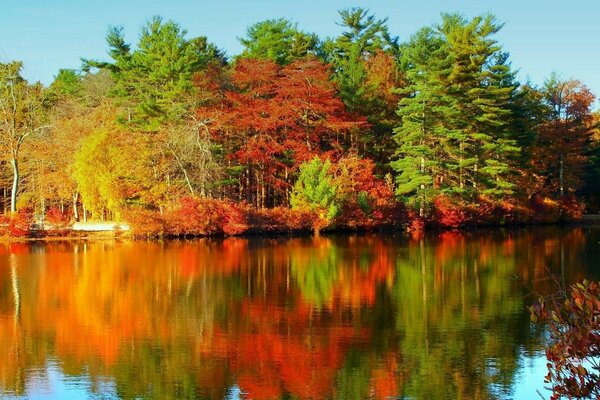 Pinturas de otoño en el reflejo del río