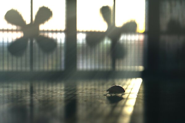 An insect crawls on the floor on a blurry background