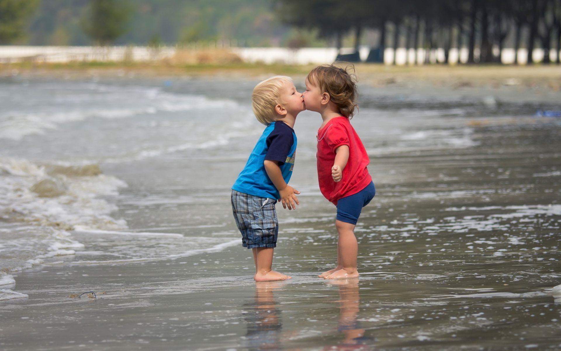 enfants dans la nature enfant eau plage plaisir été mer loisirs mer union famille à l extérieur sable voyage amour deux garçon peu vacances océan nature