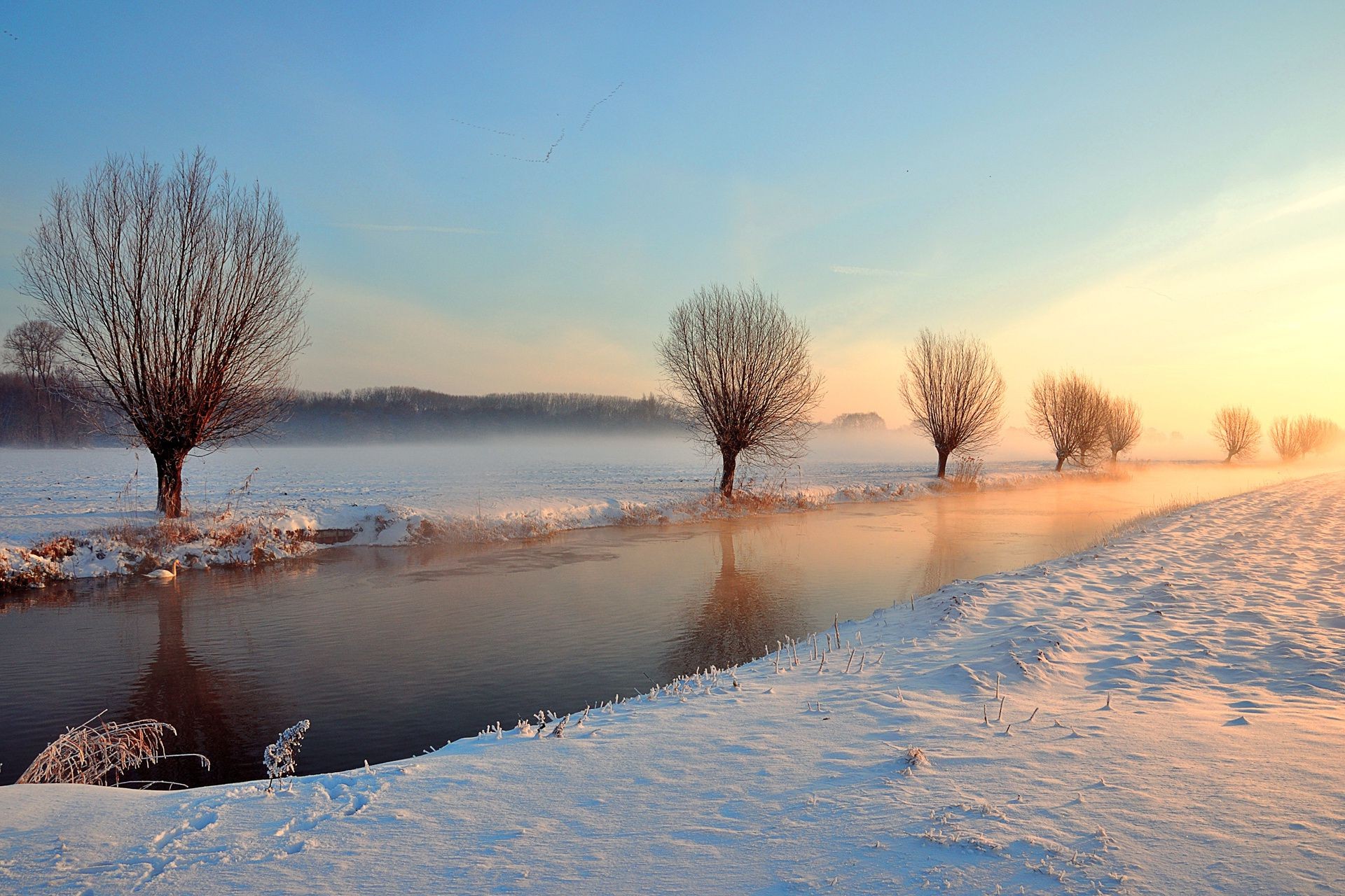 rivières étangs et ruisseaux étangs et ruisseaux hiver neige aube gel froid coucher de soleil paysage glace arbre nature eau à l extérieur ciel brouillard météo congelés