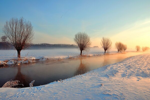 Bäume bewachen den Winterbach