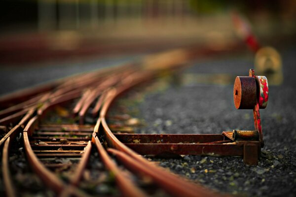 Rails made of wood extending into the distance