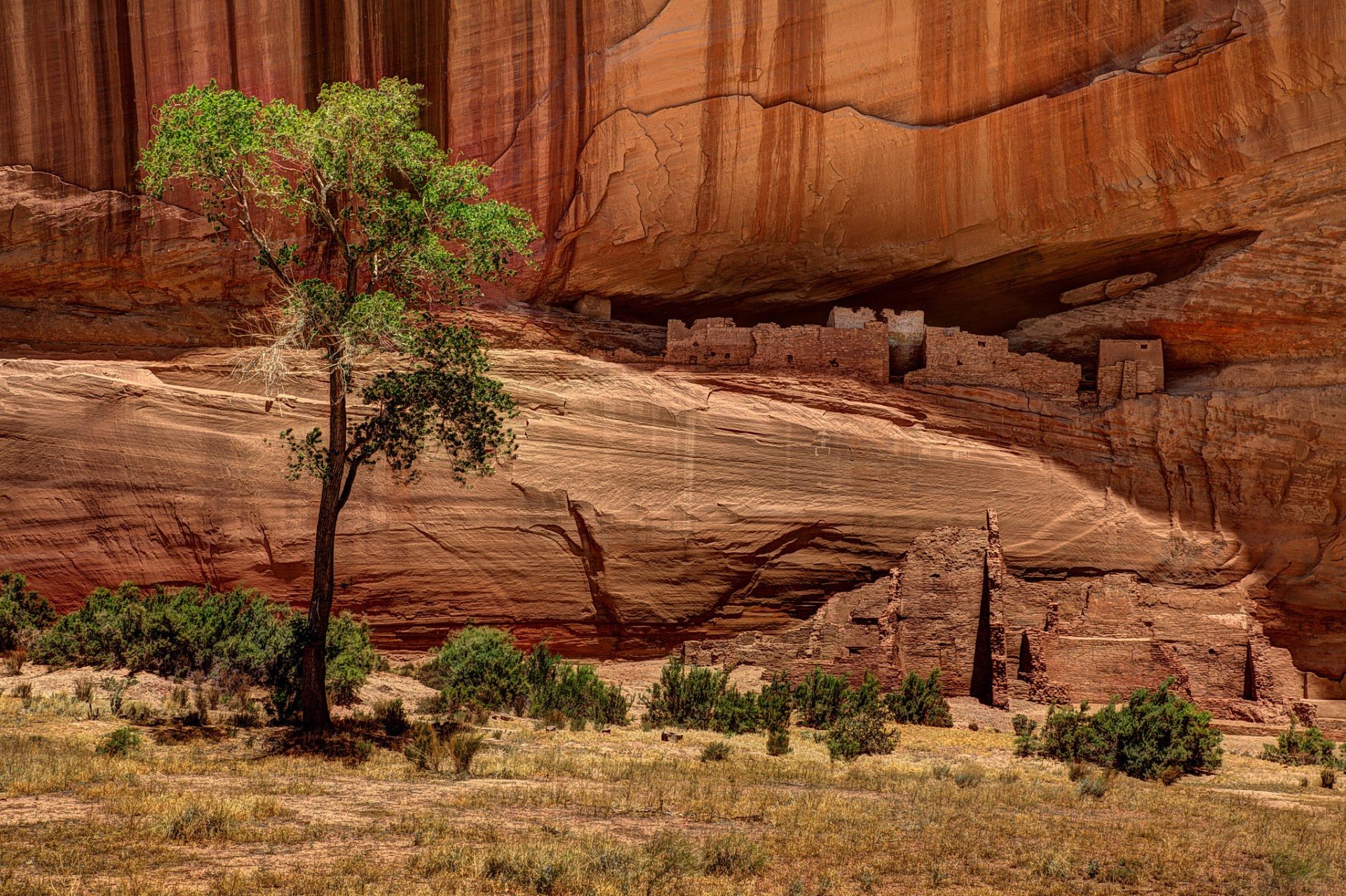 the canyons sandstone travel desert outdoors canyon nature rock landscape park arid geology sand scenic tree dry cliff