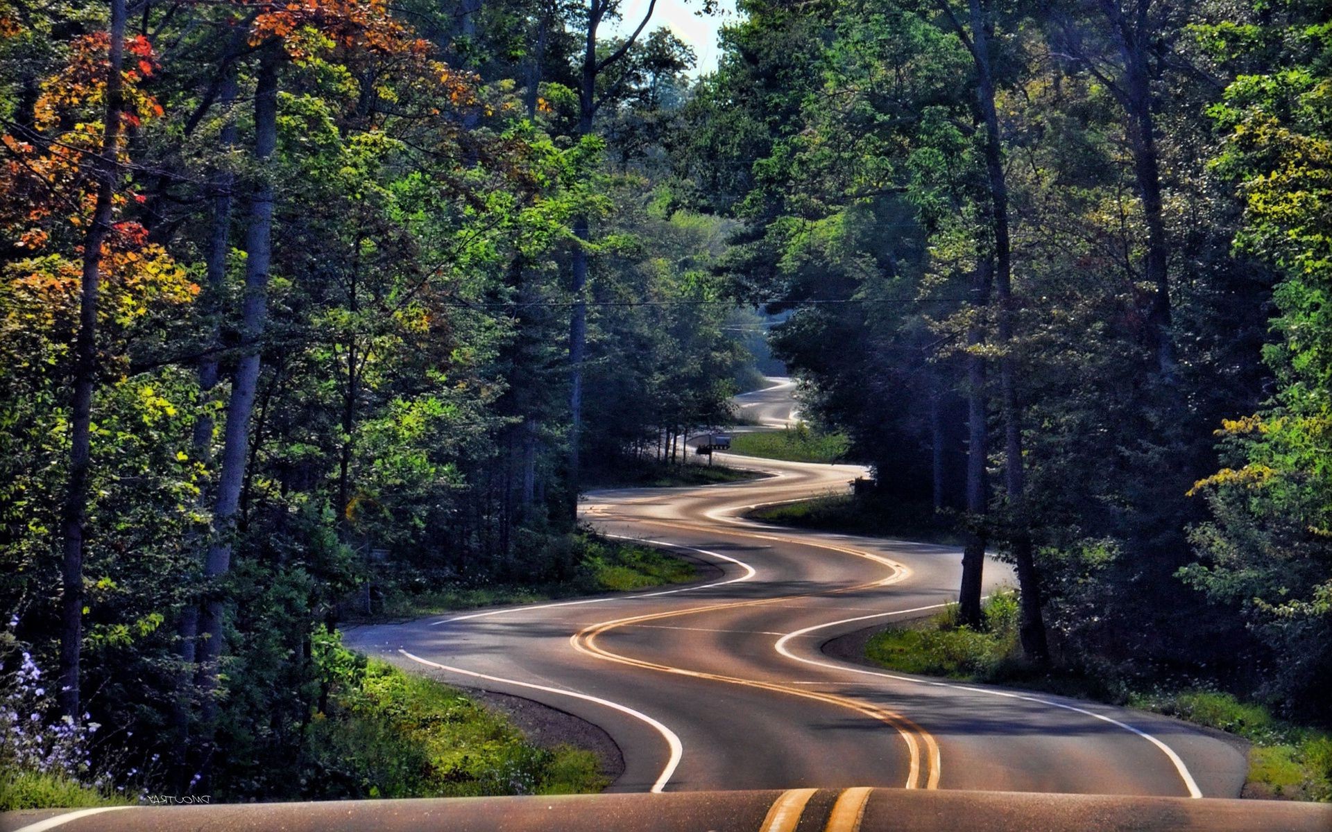 road tree wood nature guidance outdoors landscape leaf travel scenic fall rural summer park countryside grass