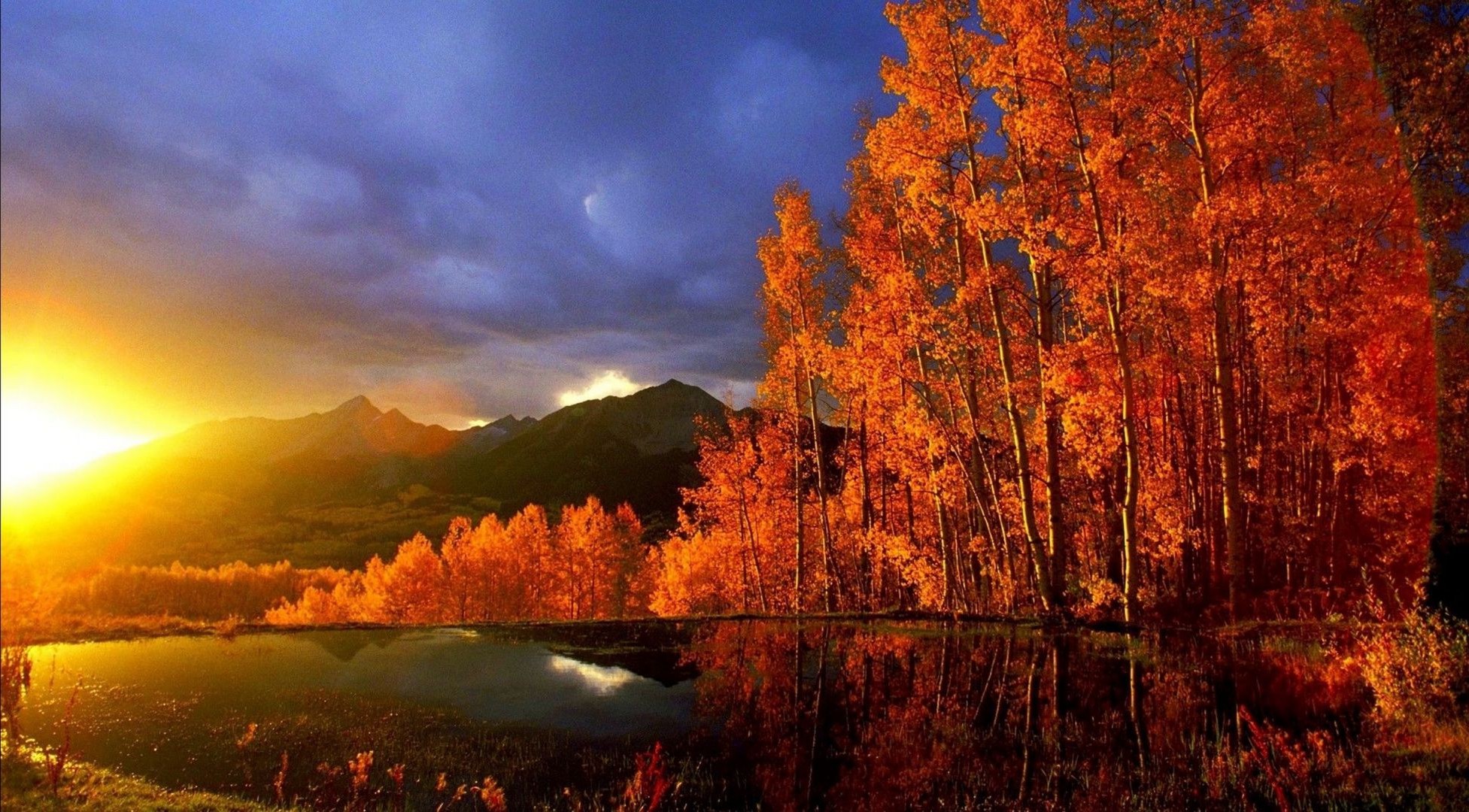 sonnenuntergang und dämmerung herbst dämmerung baum blatt natur landschaft holz nebel im freien sonnenuntergang abend sonne gutes wetter landschaftlich nebel