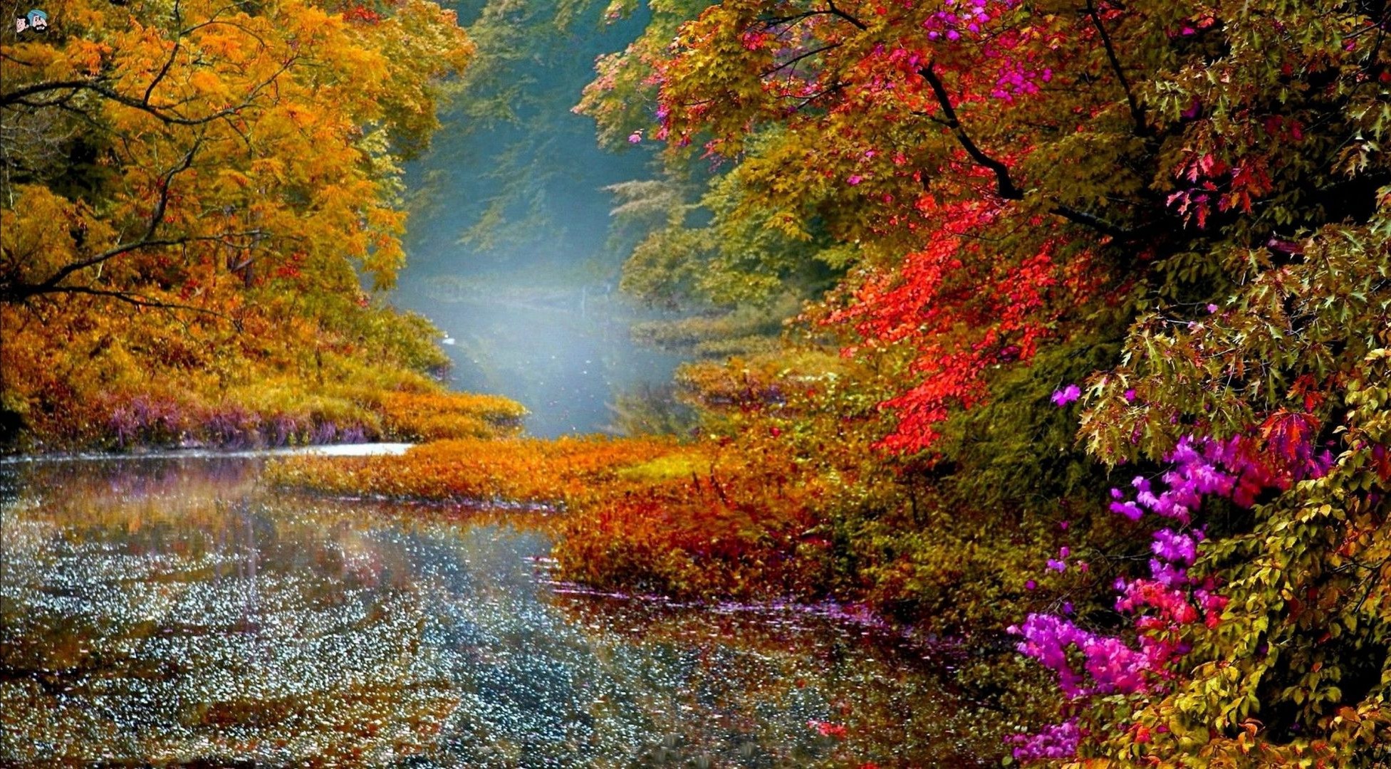 flüsse teiche und bäche teiche und bäche herbst blatt holz natur landschaft holz ahorn im freien saison landschaftlich park dämmerung nebel hell wasser üppig farbe