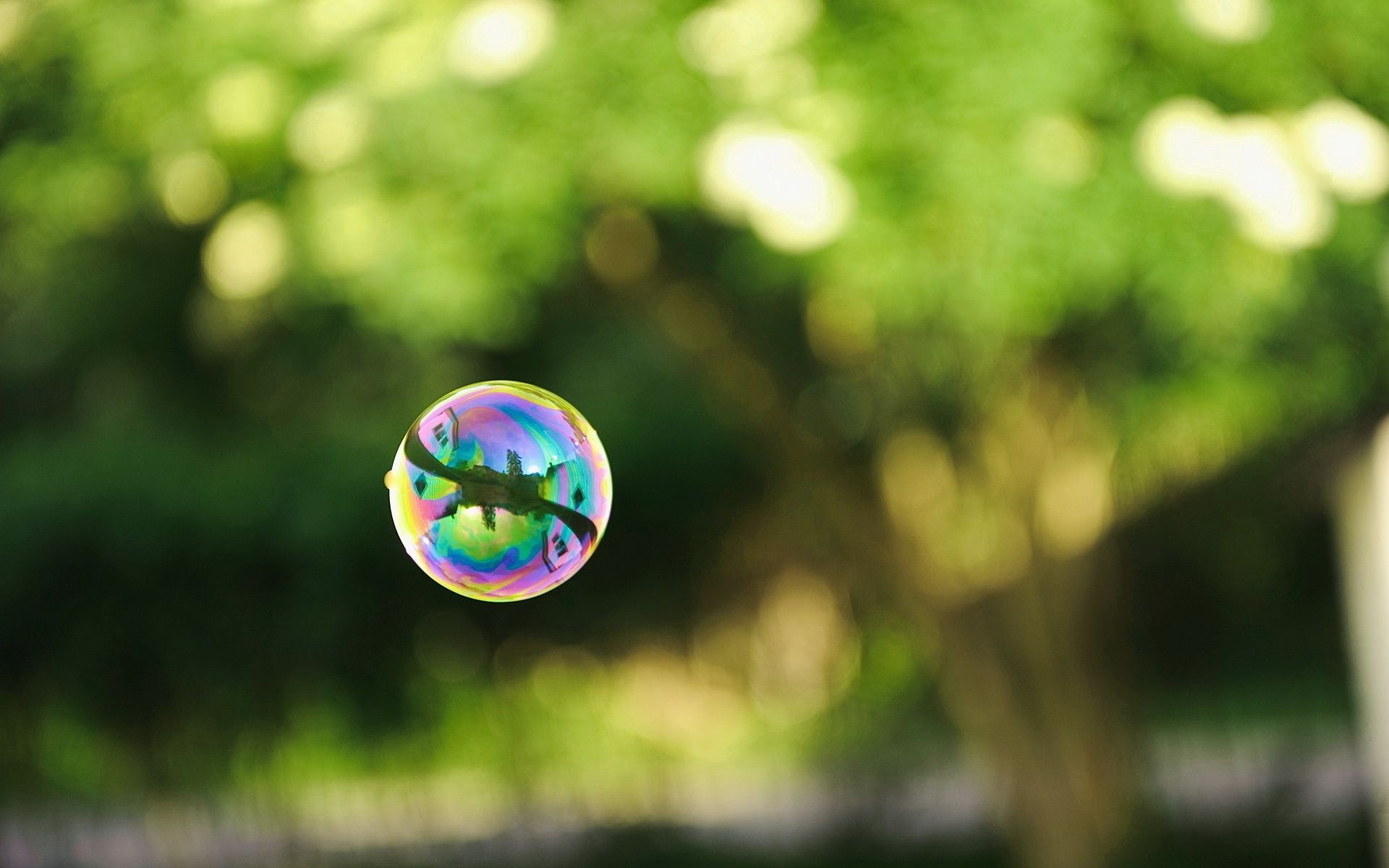 droplets and water blur nature color abstract focus desktop grass bright